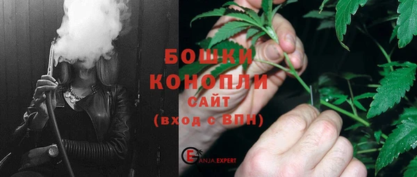 бошки Белокуриха