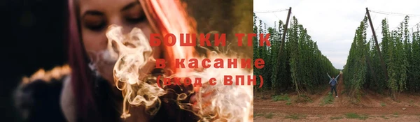 бошки Белокуриха