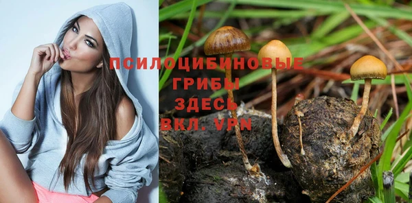круглые Богданович