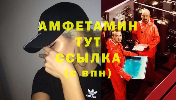 прущие грибы Богородицк