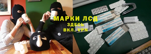 прущие грибы Богородицк